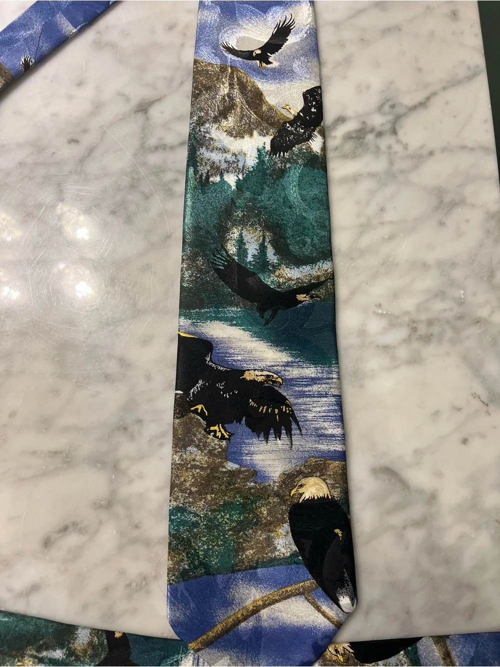 Men's Scenic Eagle Print Tie in Blue and Green